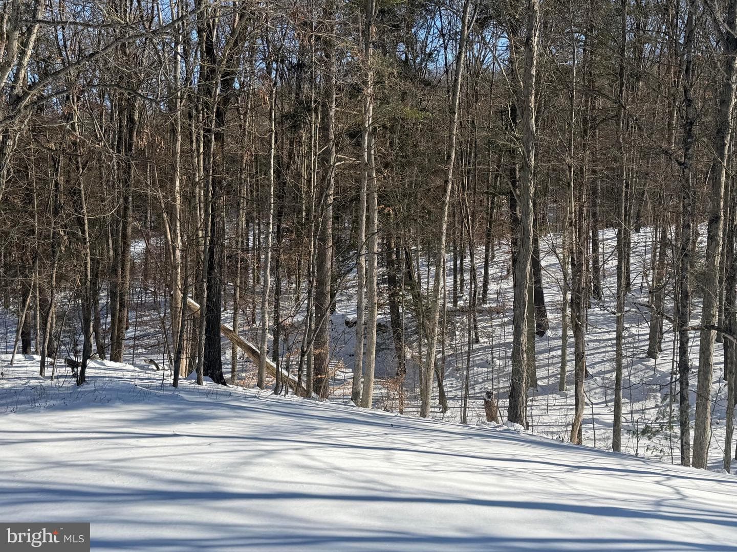 425 Cider Press Road photo 2