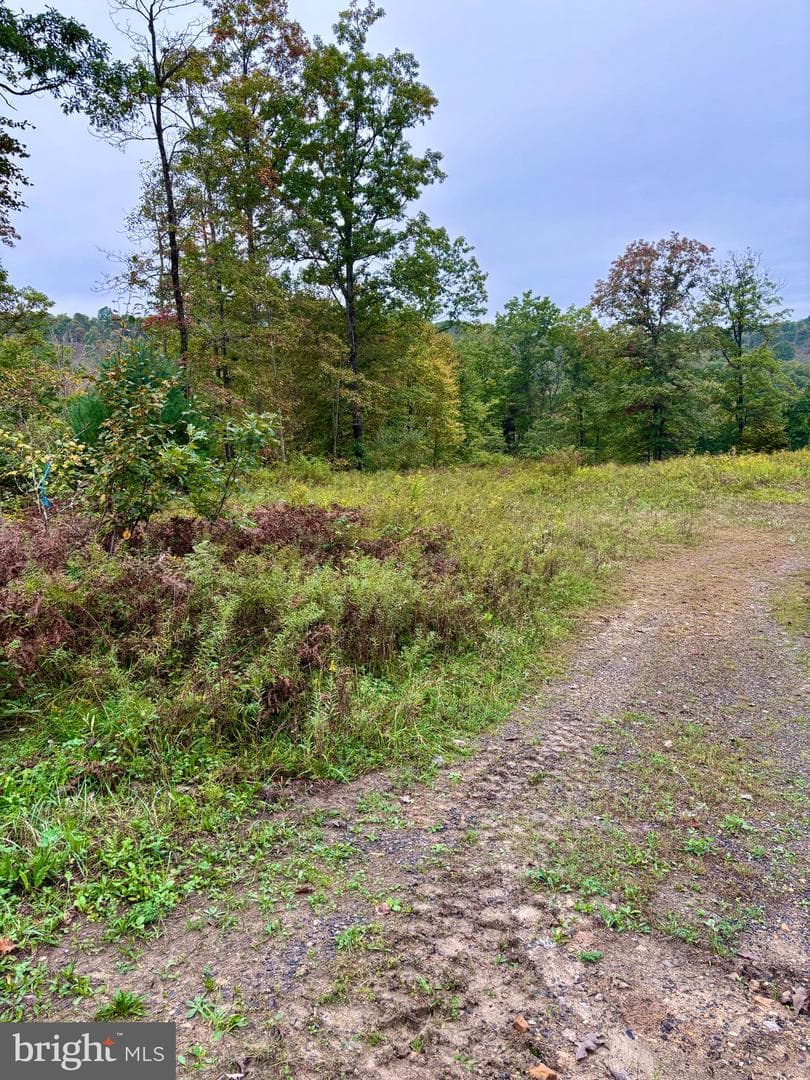 29 Beech Creek Mountain Road photo 17