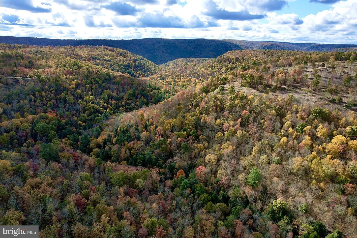 29 Beech Creek Mountain Road photo 22