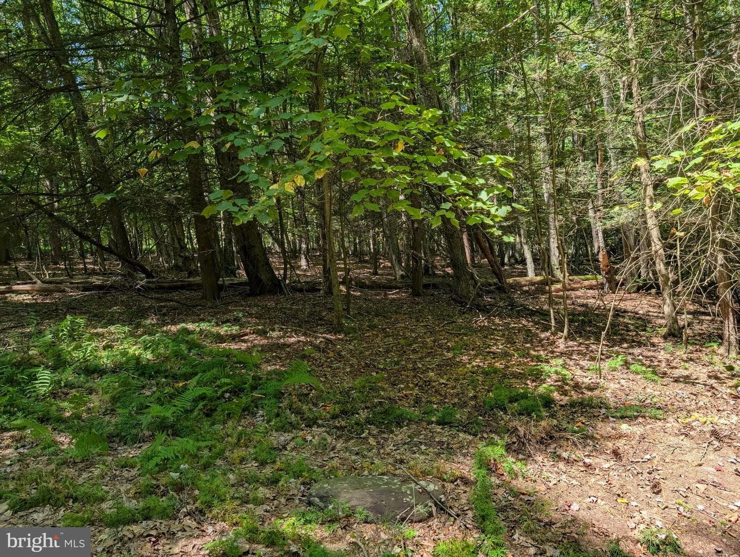 271 Kearkuff Road photo 23