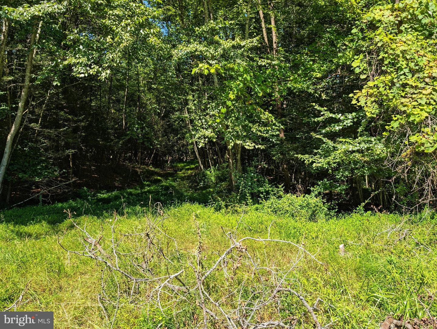 271 Kearkuff Road photo 24