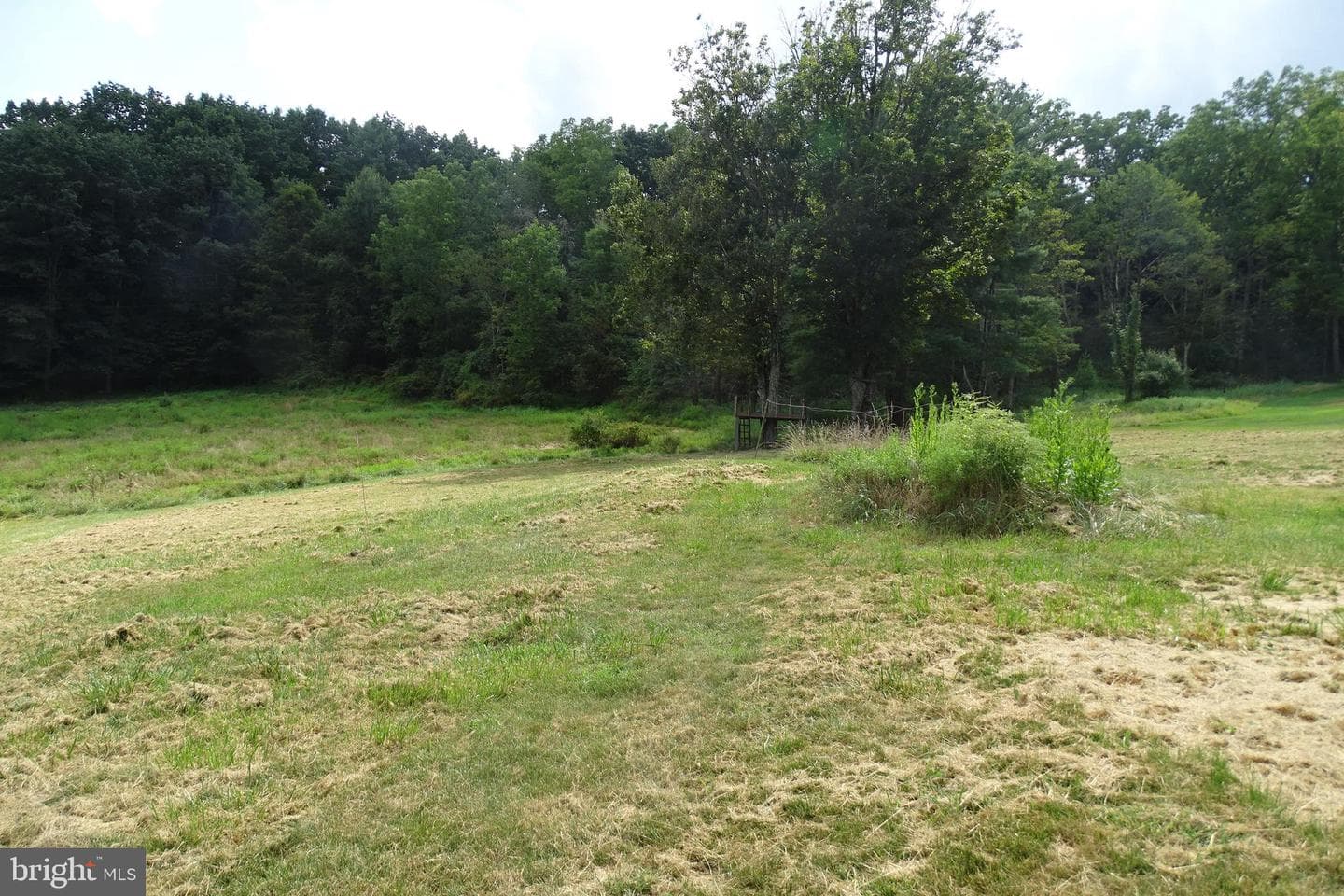 125 Distillery Hill Road photo 11