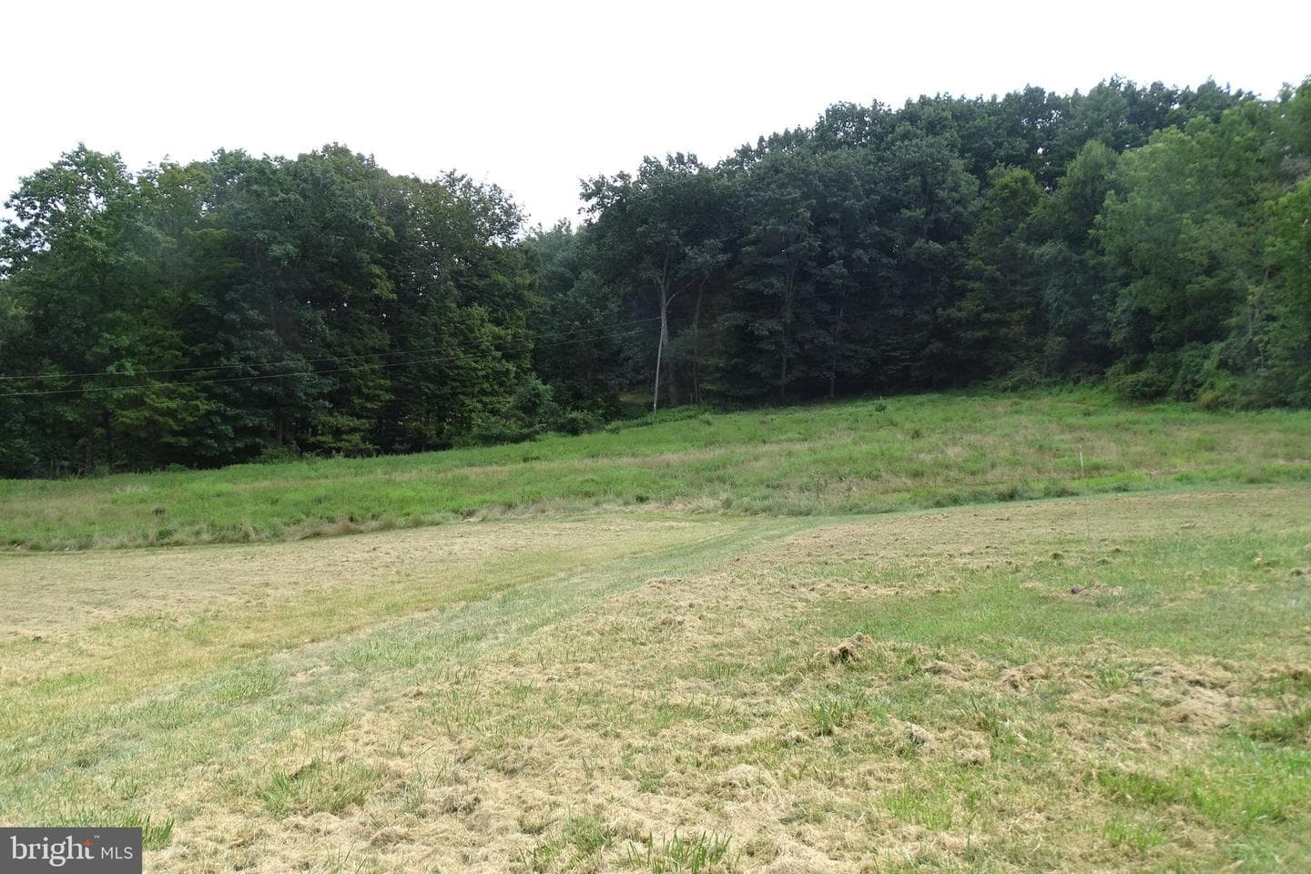 125 Distillery Hill Road photo 12