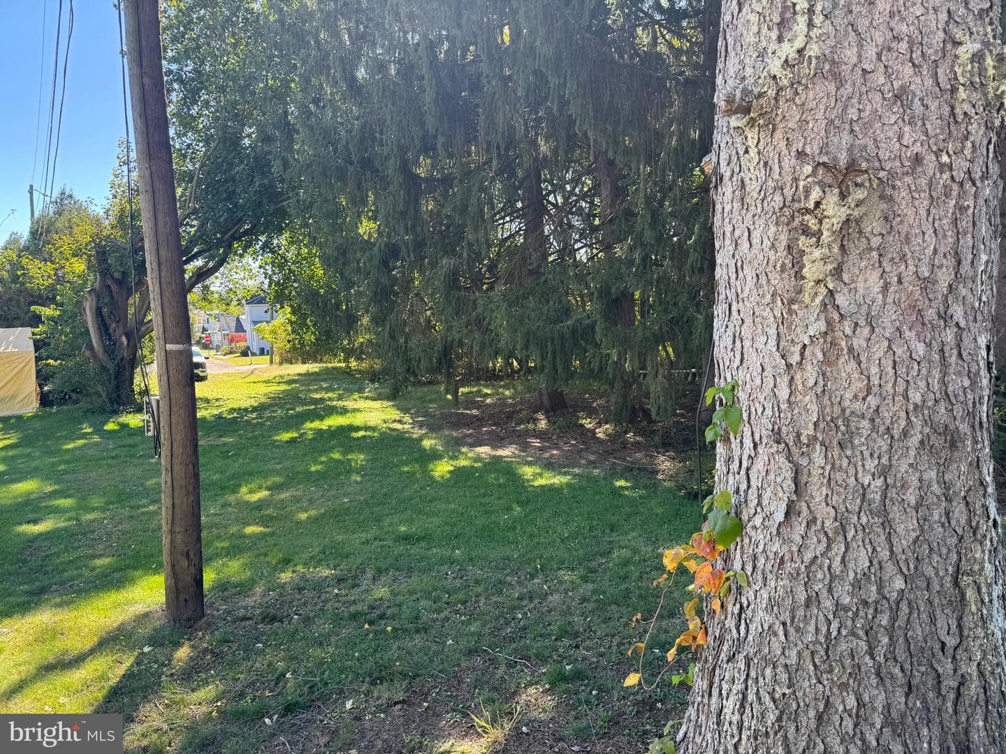 541 Summerhill Avenue photo 20