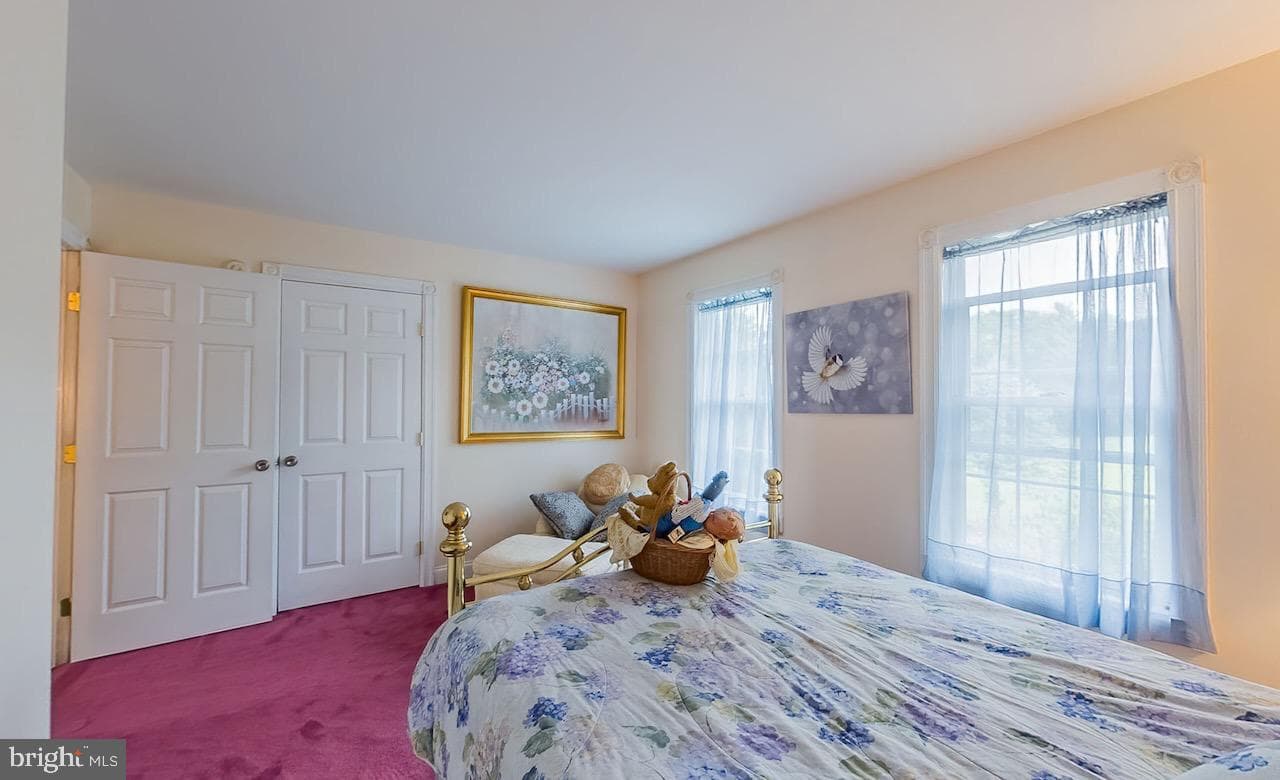 207 Klinger Hill Road photo 42