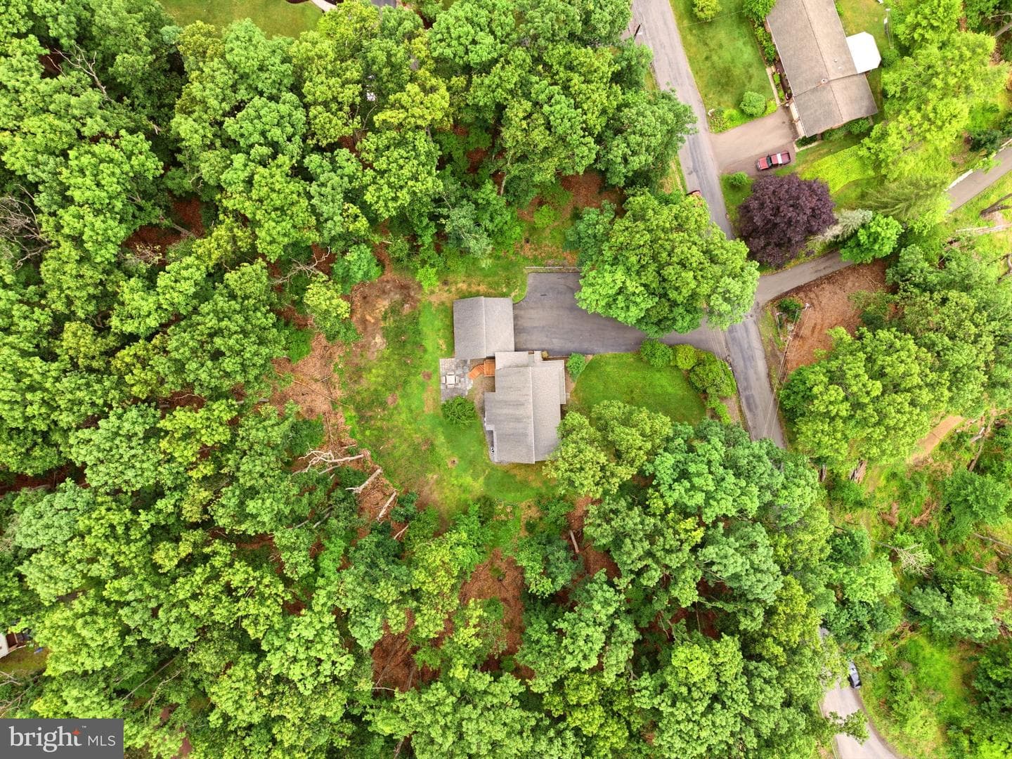 17 Maplewood Road photo 66