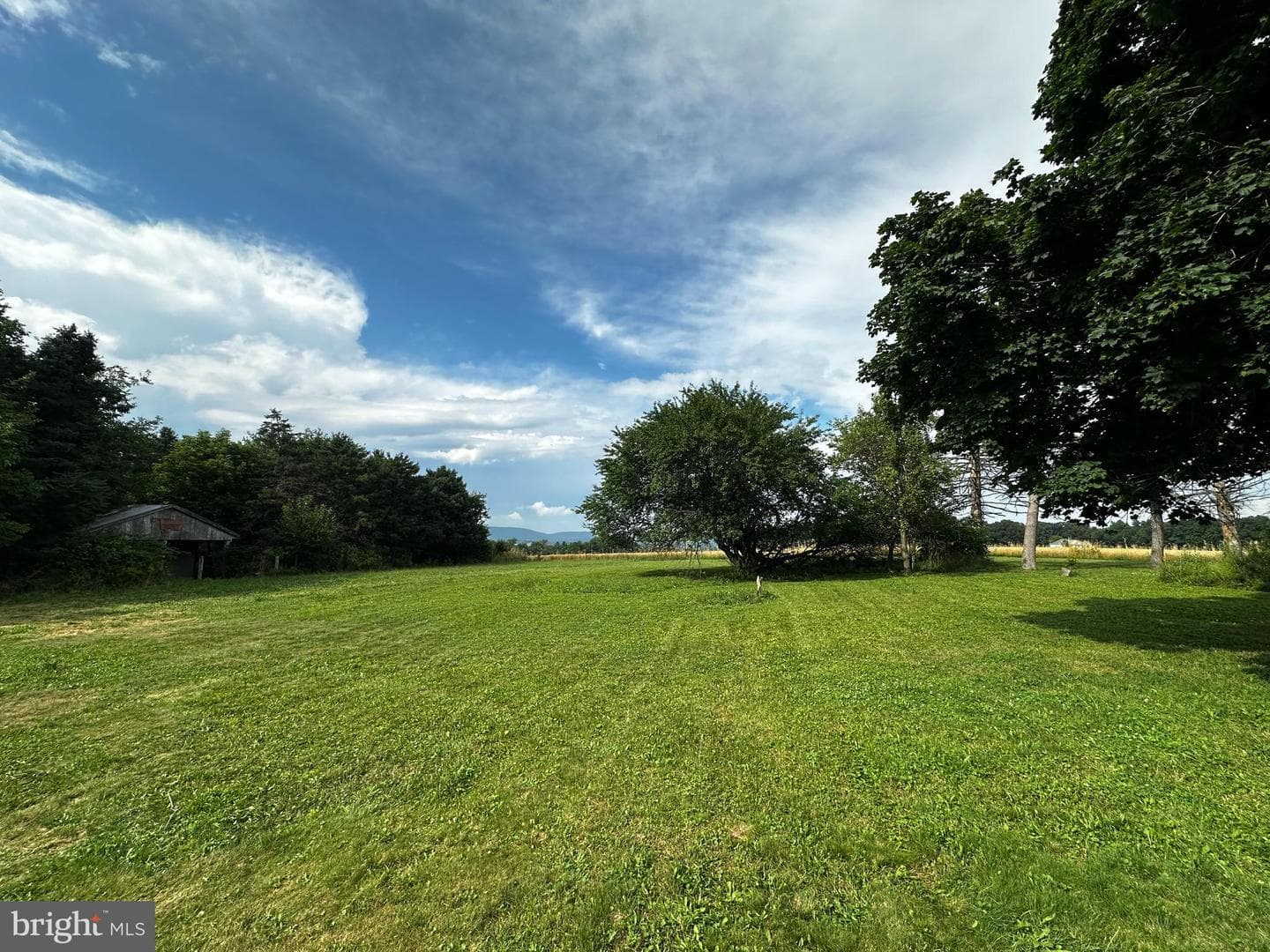 224 Middle Road photo 4