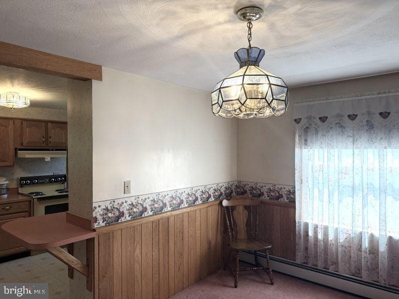 504 W Allegany Avenue photo 15