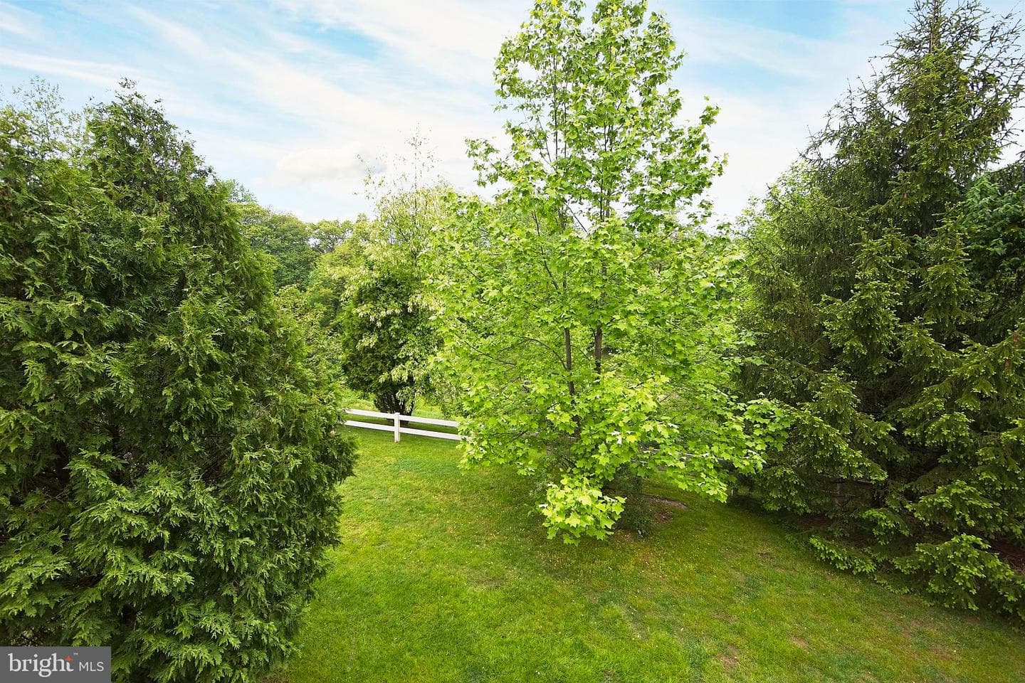 211 Tall Pines Drive photo 28