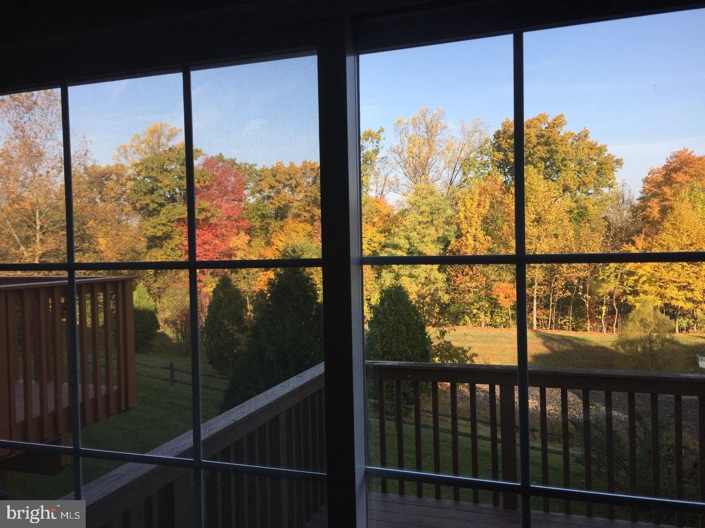 211 Tall Pines Drive photo 29