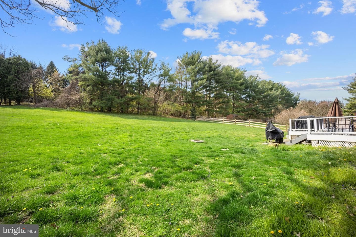 871 Frank Road photo 30