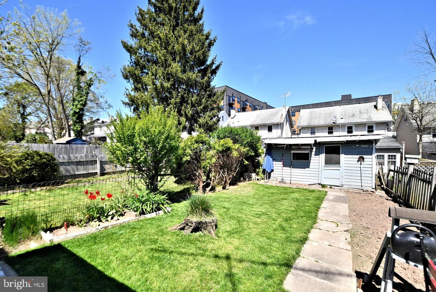 46 Walnut Street photo 32