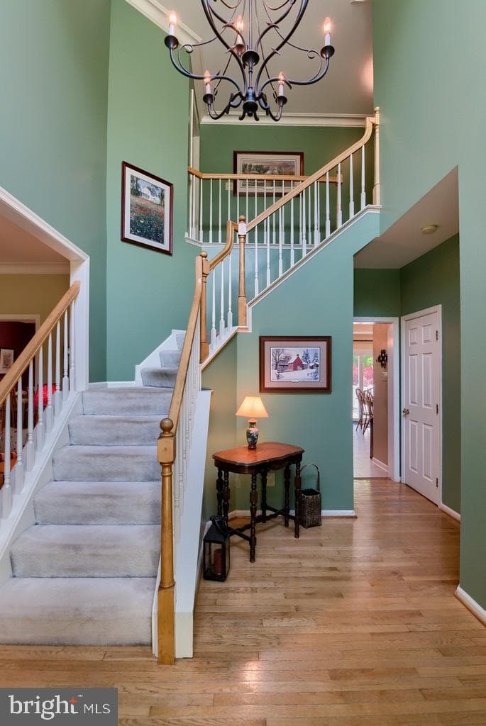 6 Edward Drive photo 7