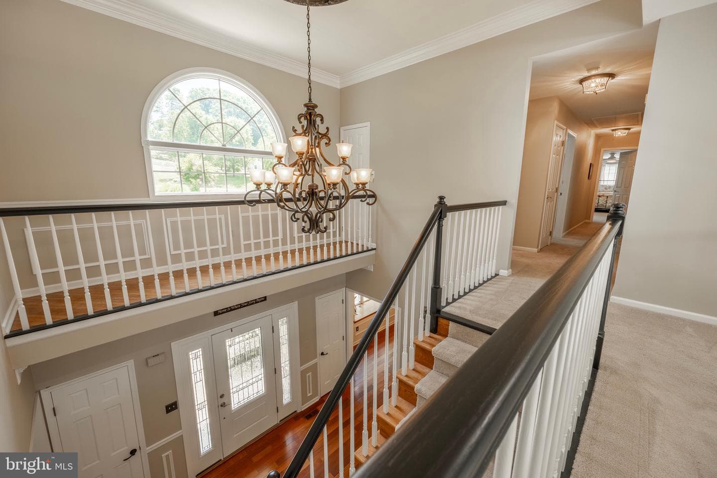 53 Devyn Drive photo 21