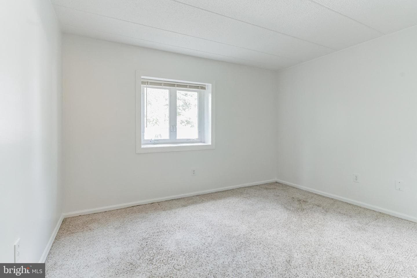 109 Harvest Lane photo 22