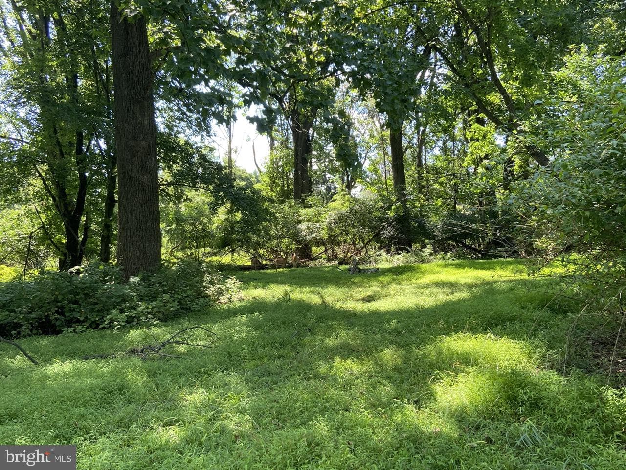 1381 Brinton Lake Road photo 32