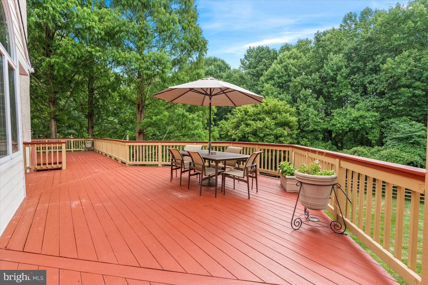 204 Fern Ridge photo 59