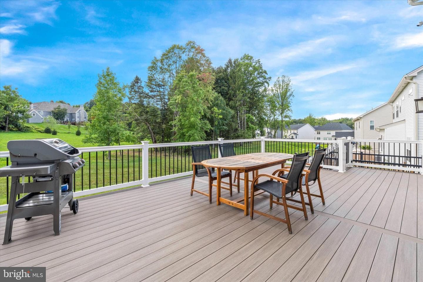 217 Lily Lane photo 49