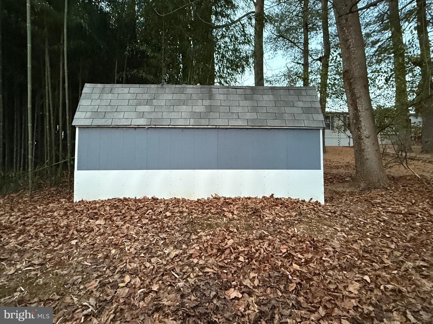 1040 Pine Drive photo 33