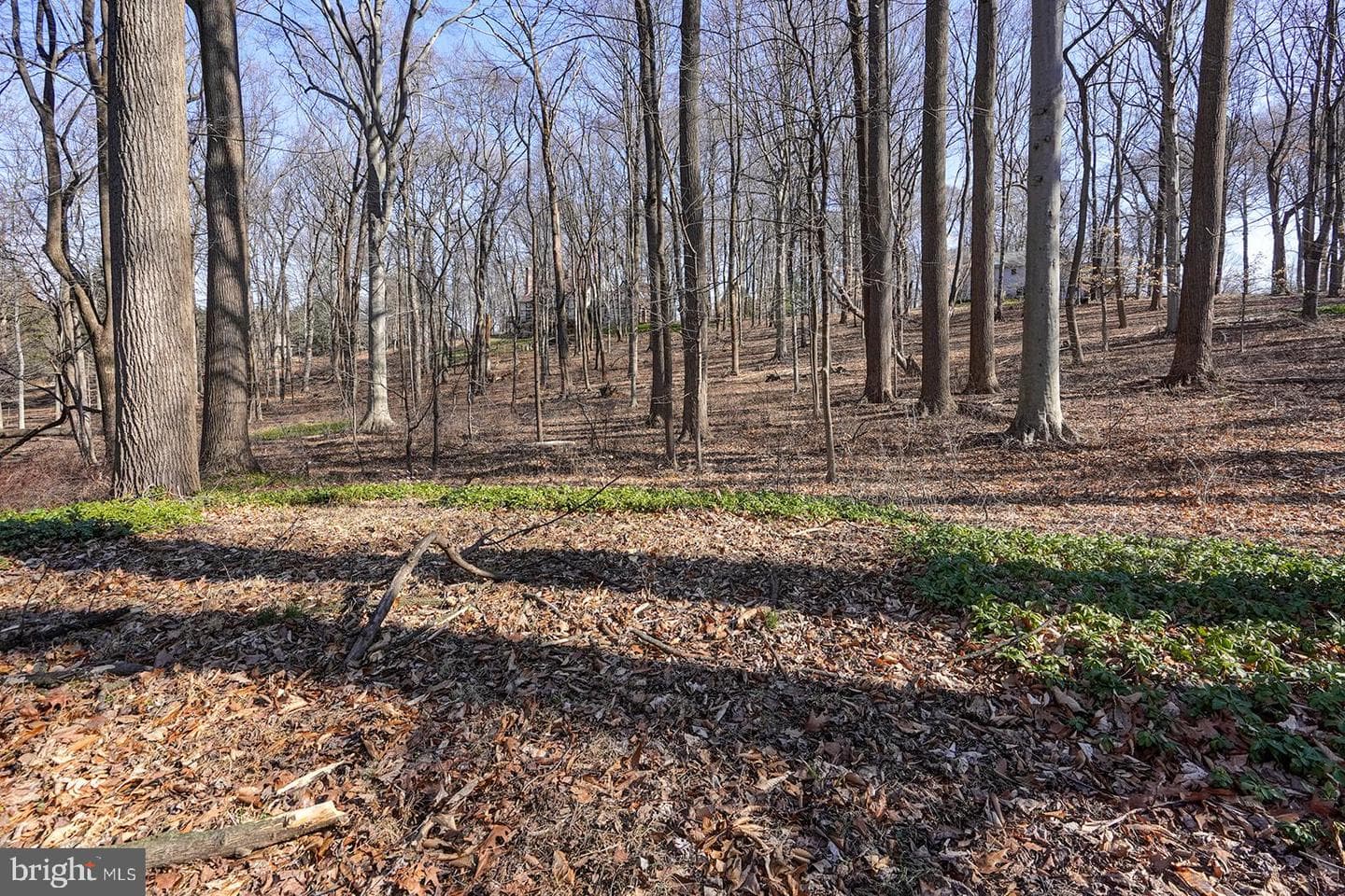 781 Haines Mill Road photo 52