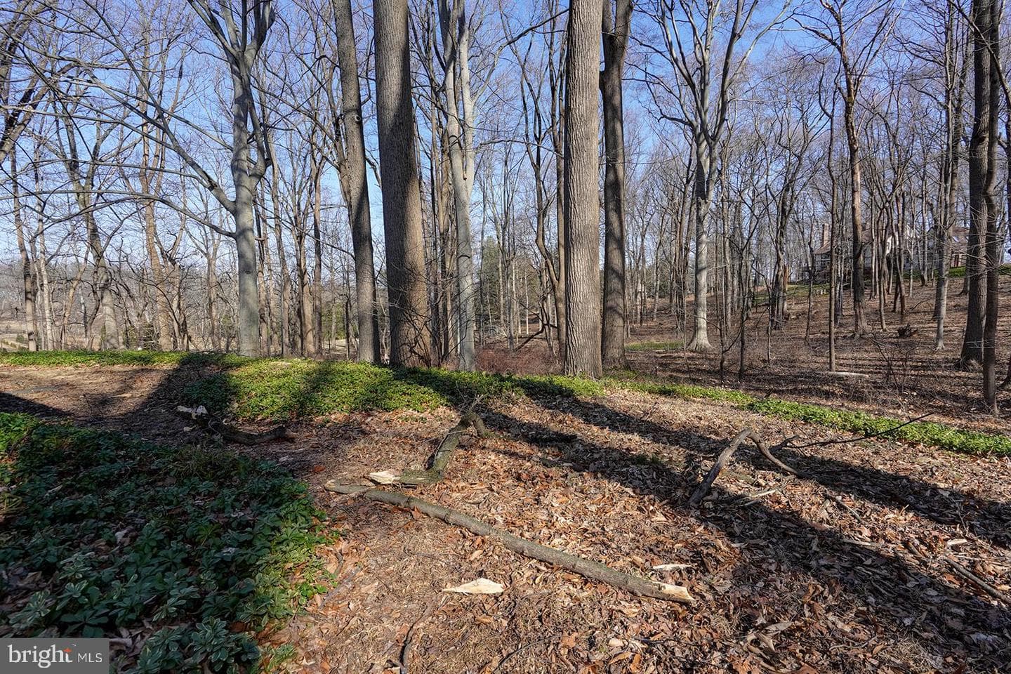 781 Haines Mill Road photo 53