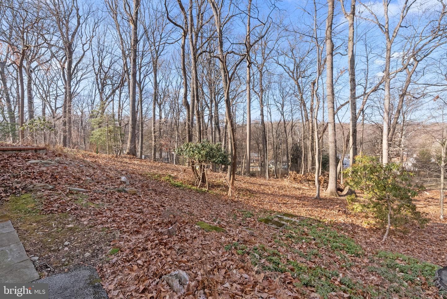 256 Upper Gulph Road photo 29