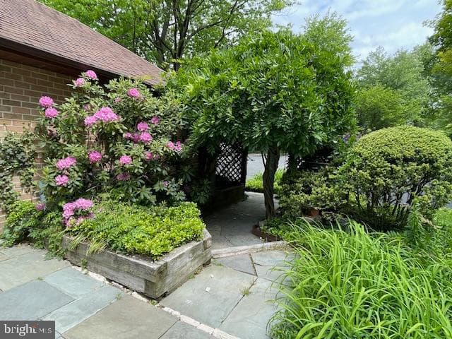1 Painters Lane photo 38