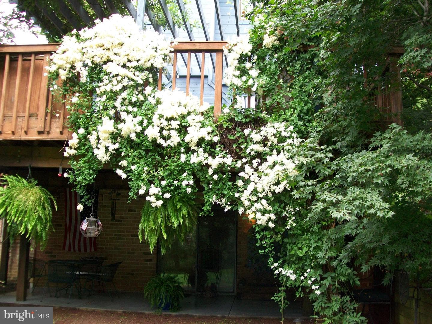 1 Painters Lane photo 55