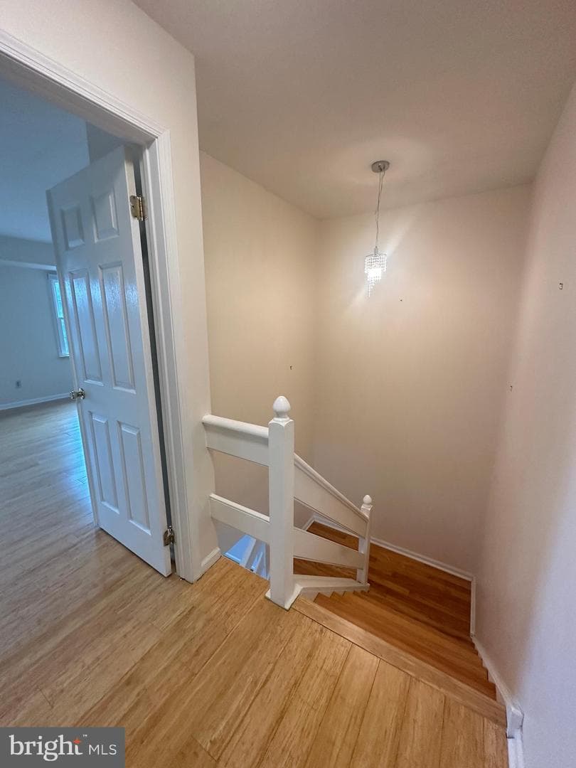 324 Welsh Circle photo 65