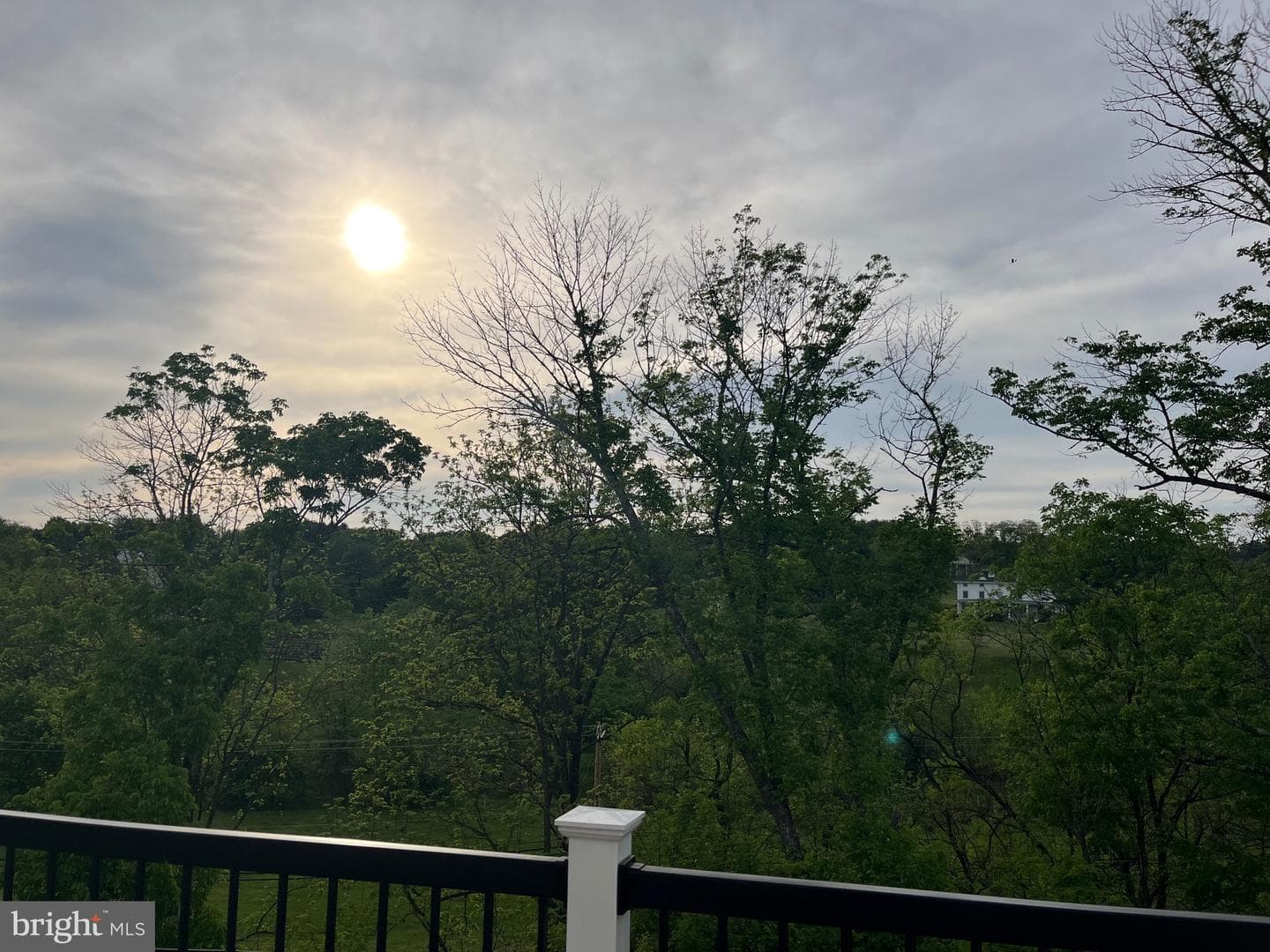 466 Reid Way photo 4