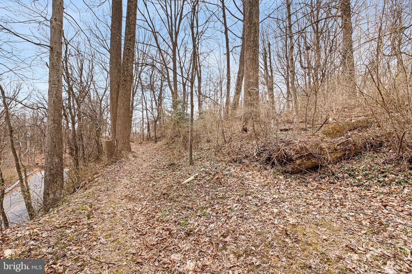 231 Laurel Bridge Road photo 23