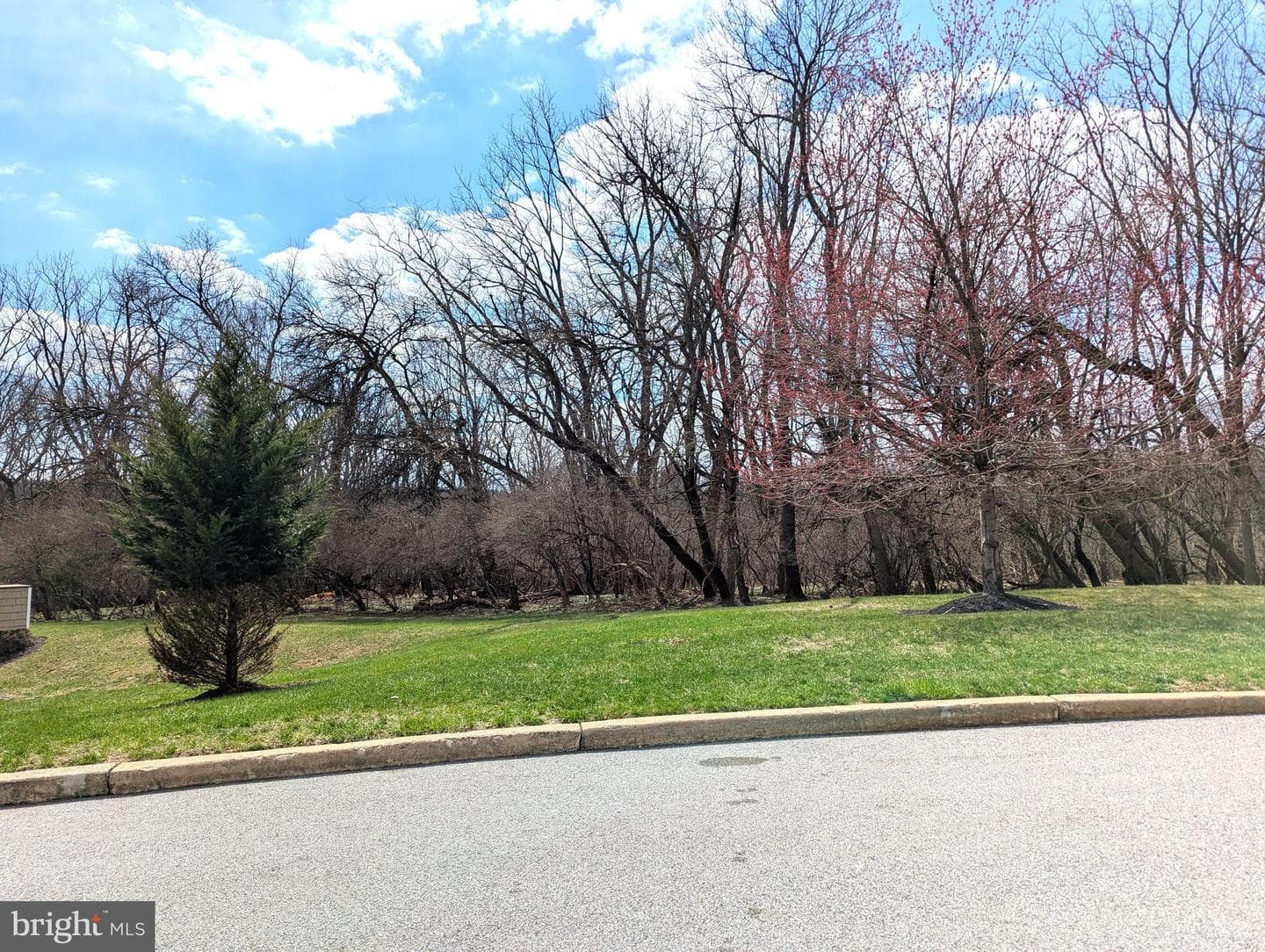 21 Newport Drive photo 25