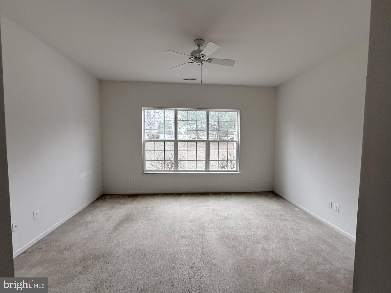 169 Davish Road photo 17