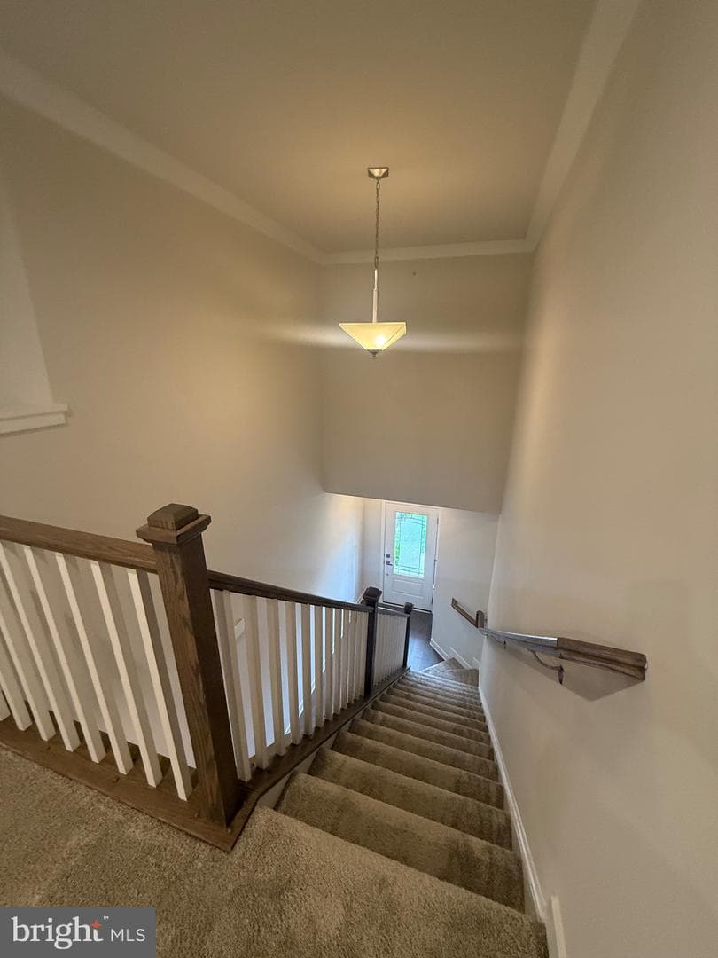 739 Cascade Way photo 70