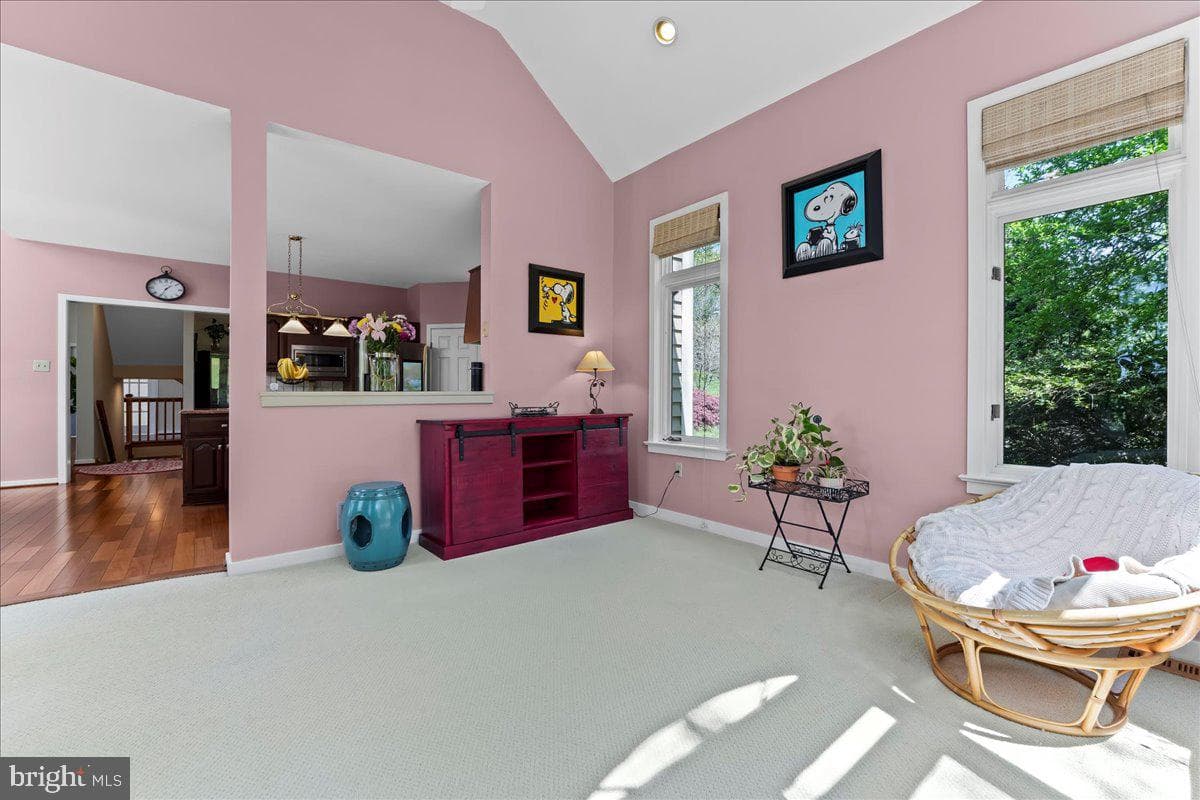 19 White Clay Drive photo 10