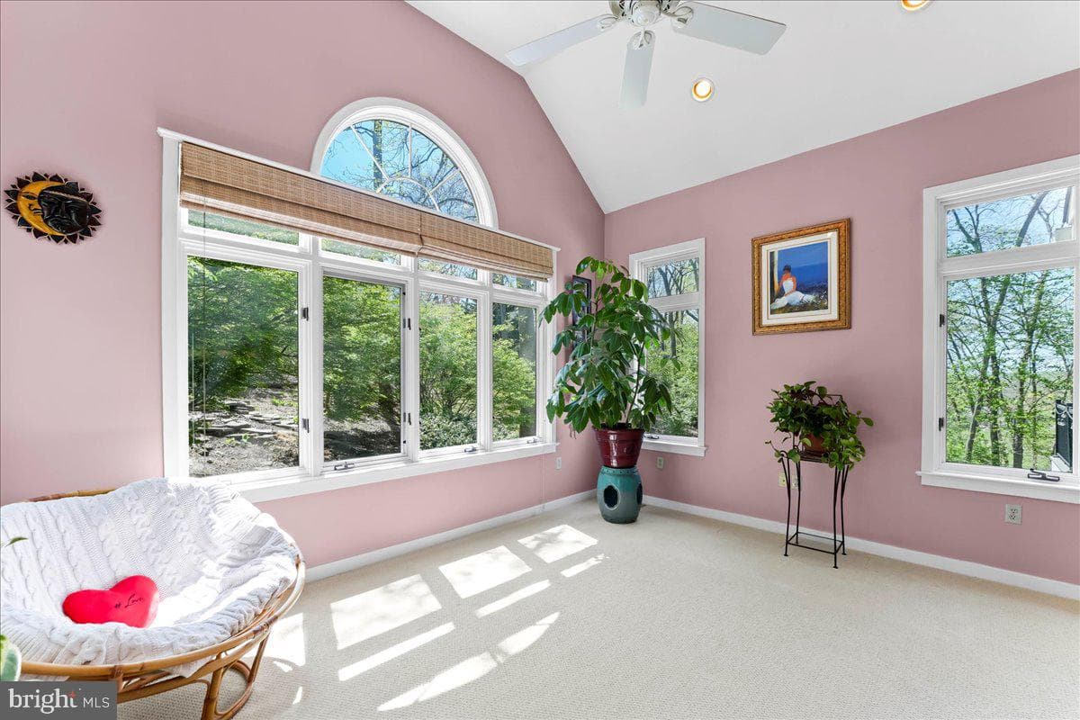 19 White Clay Drive photo 8