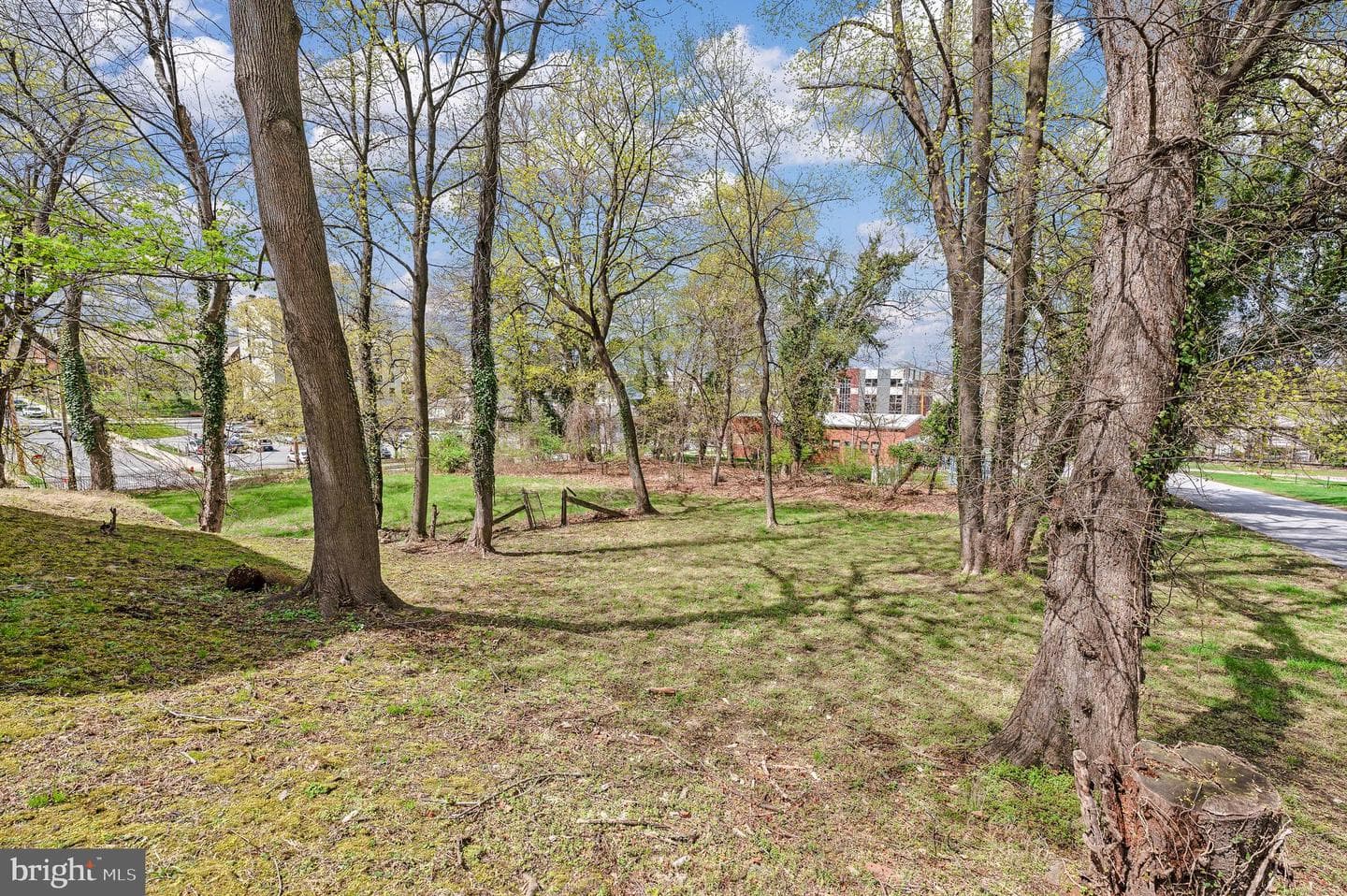 99 Starr Street photo 28