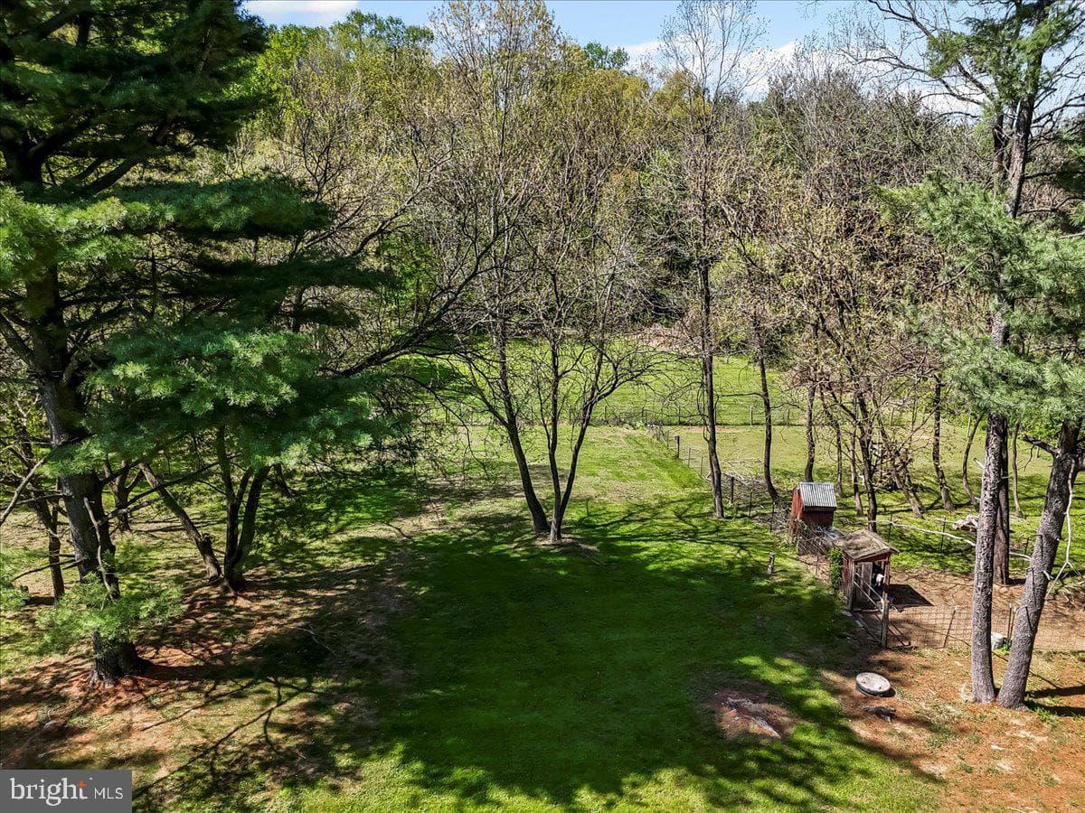 128 Elkdale Road photo 40