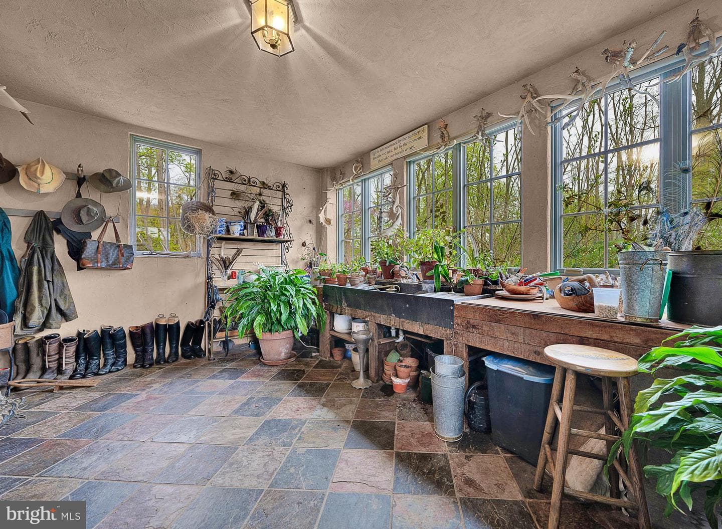 227 Jackson Road photo 19
