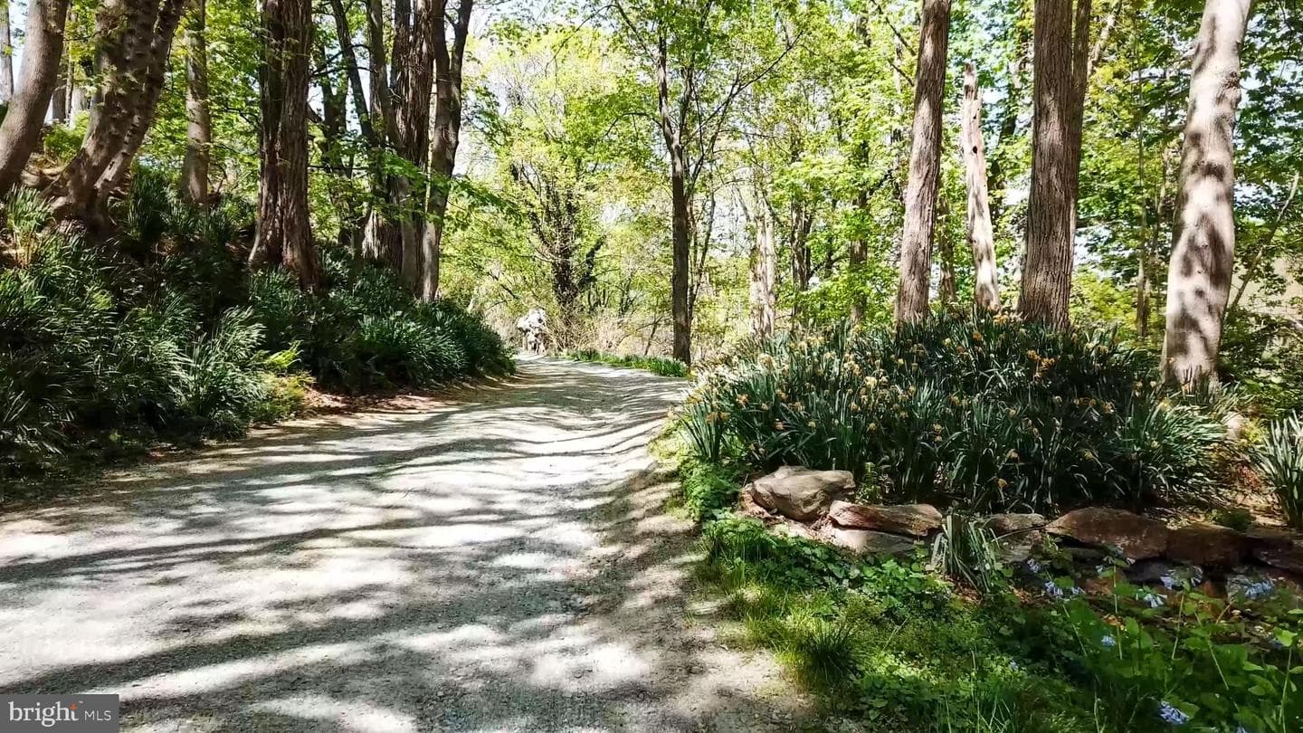227 Jackson Road photo 3
