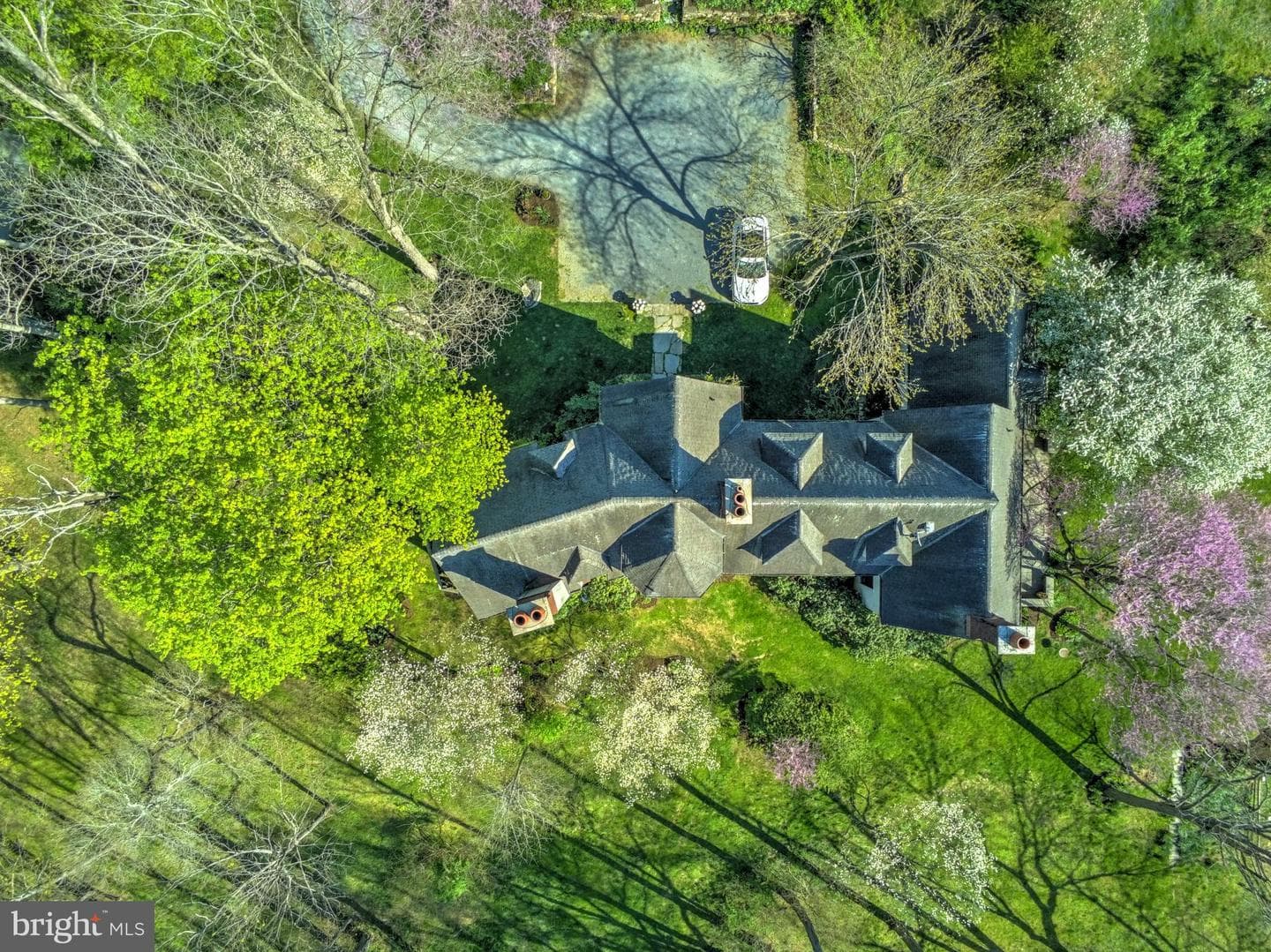 227 Jackson Road photo 53