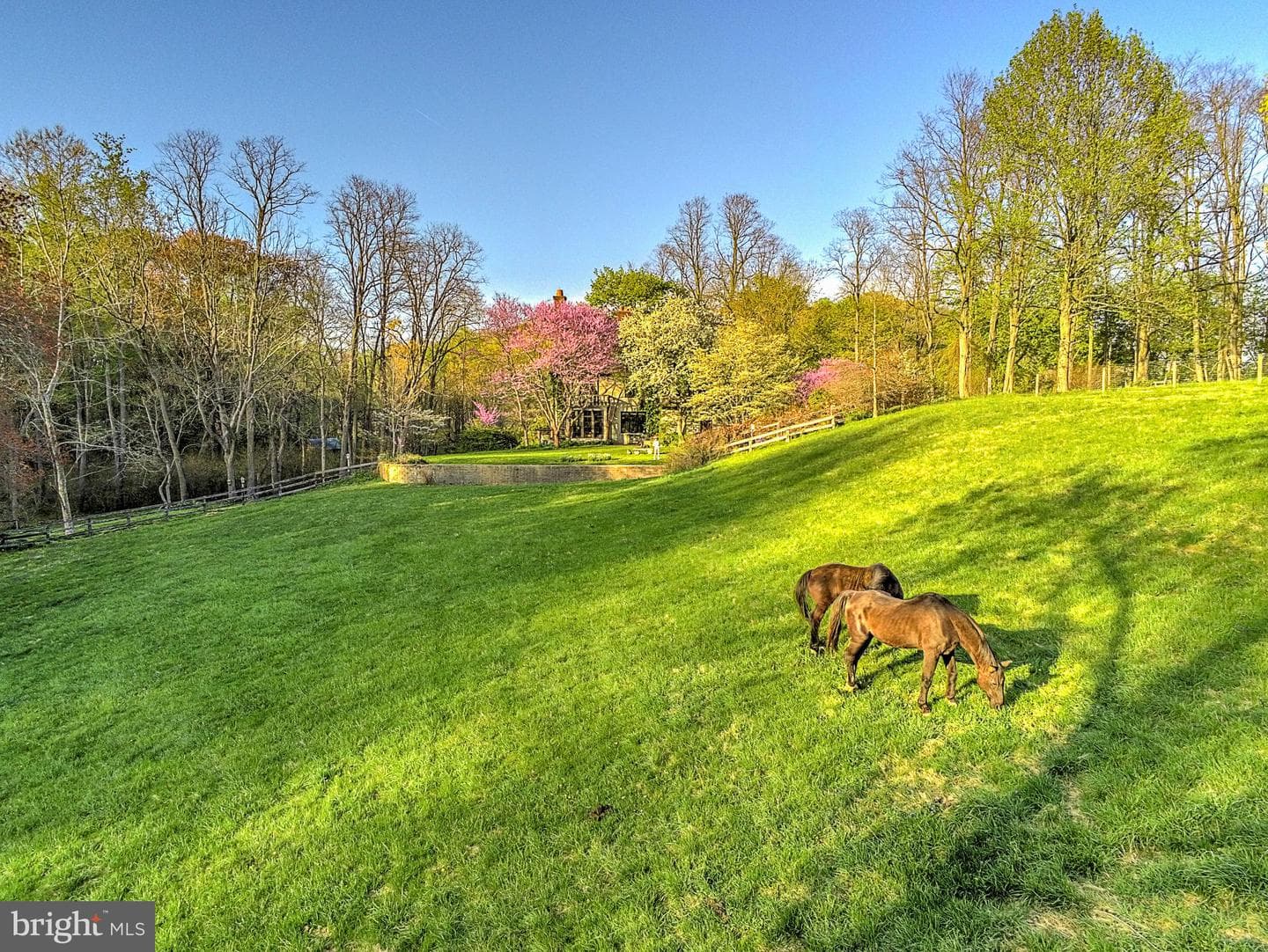 227 Jackson Road photo 55