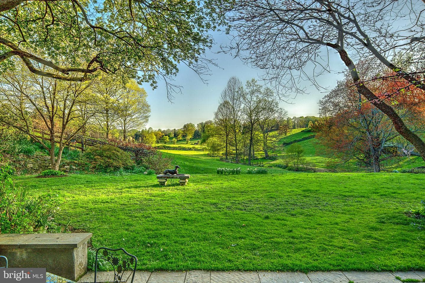 227 Jackson Road photo 58