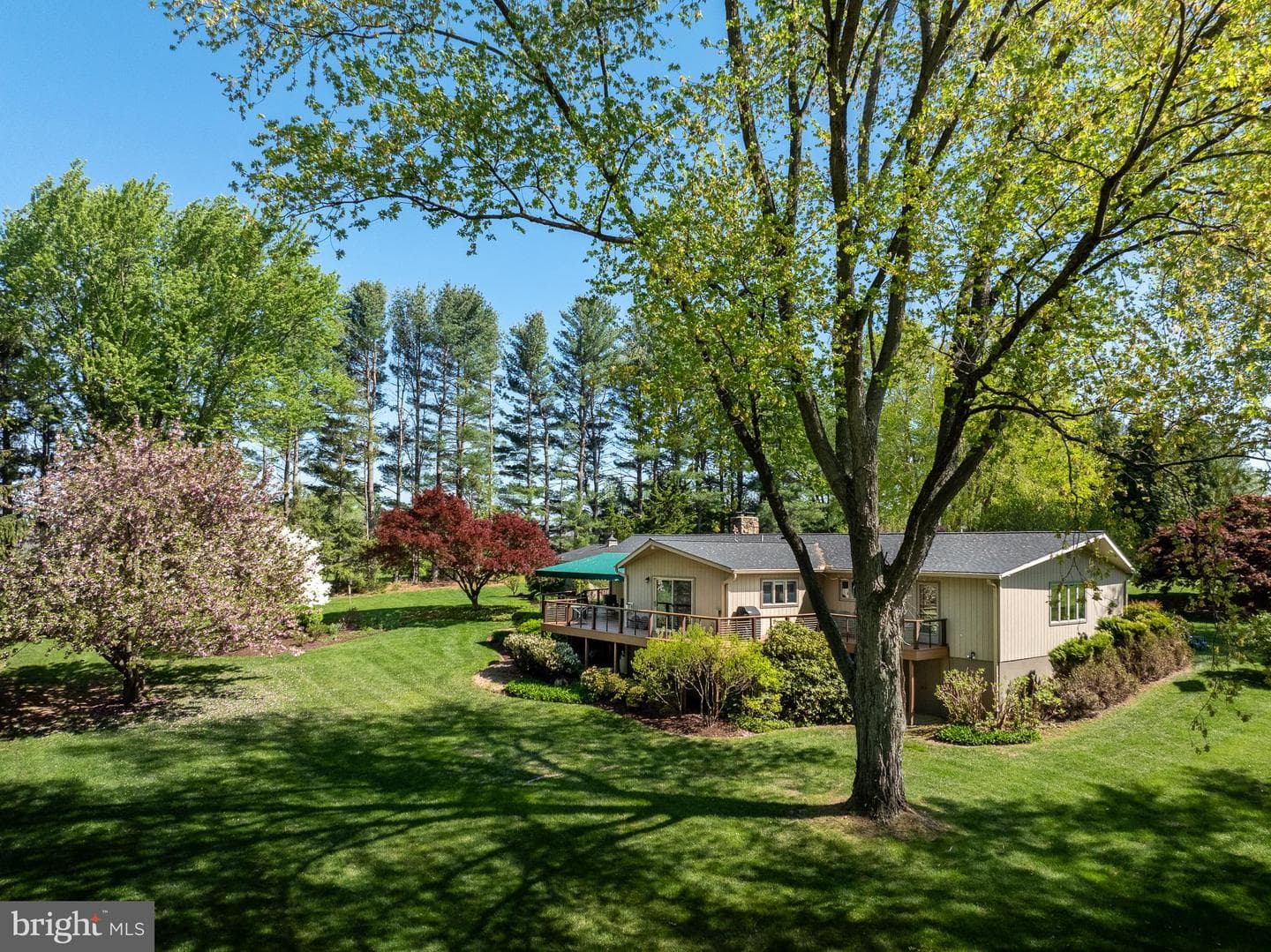 372 Lucky Hill Road photo 3