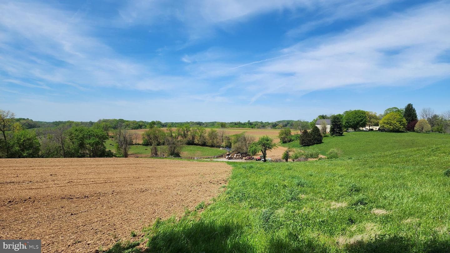 372 Lucky Hill Road photo 49