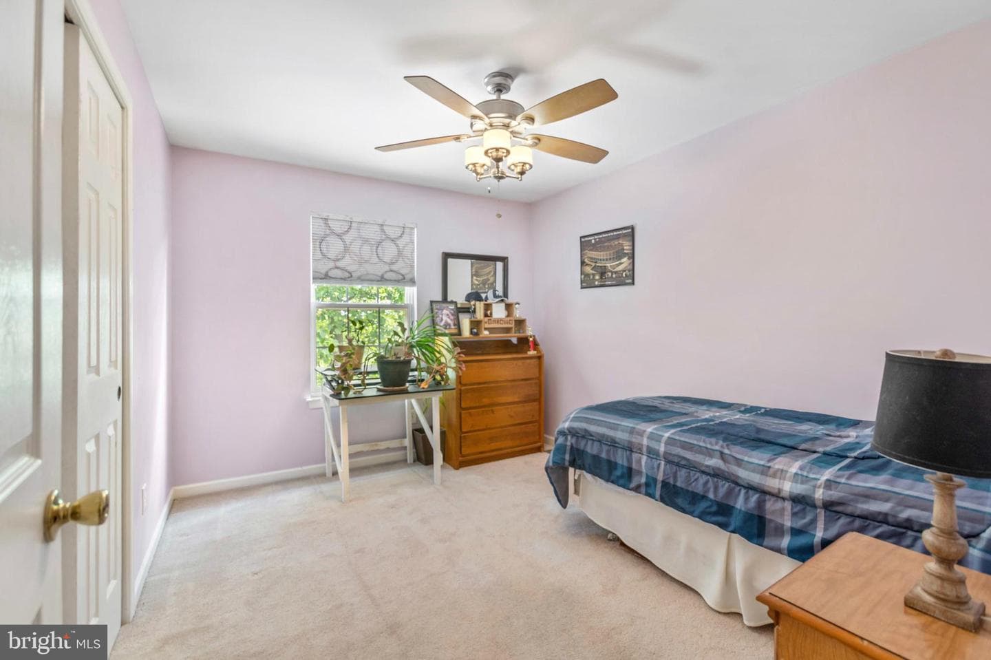 46 Pinckney Drive photo 21