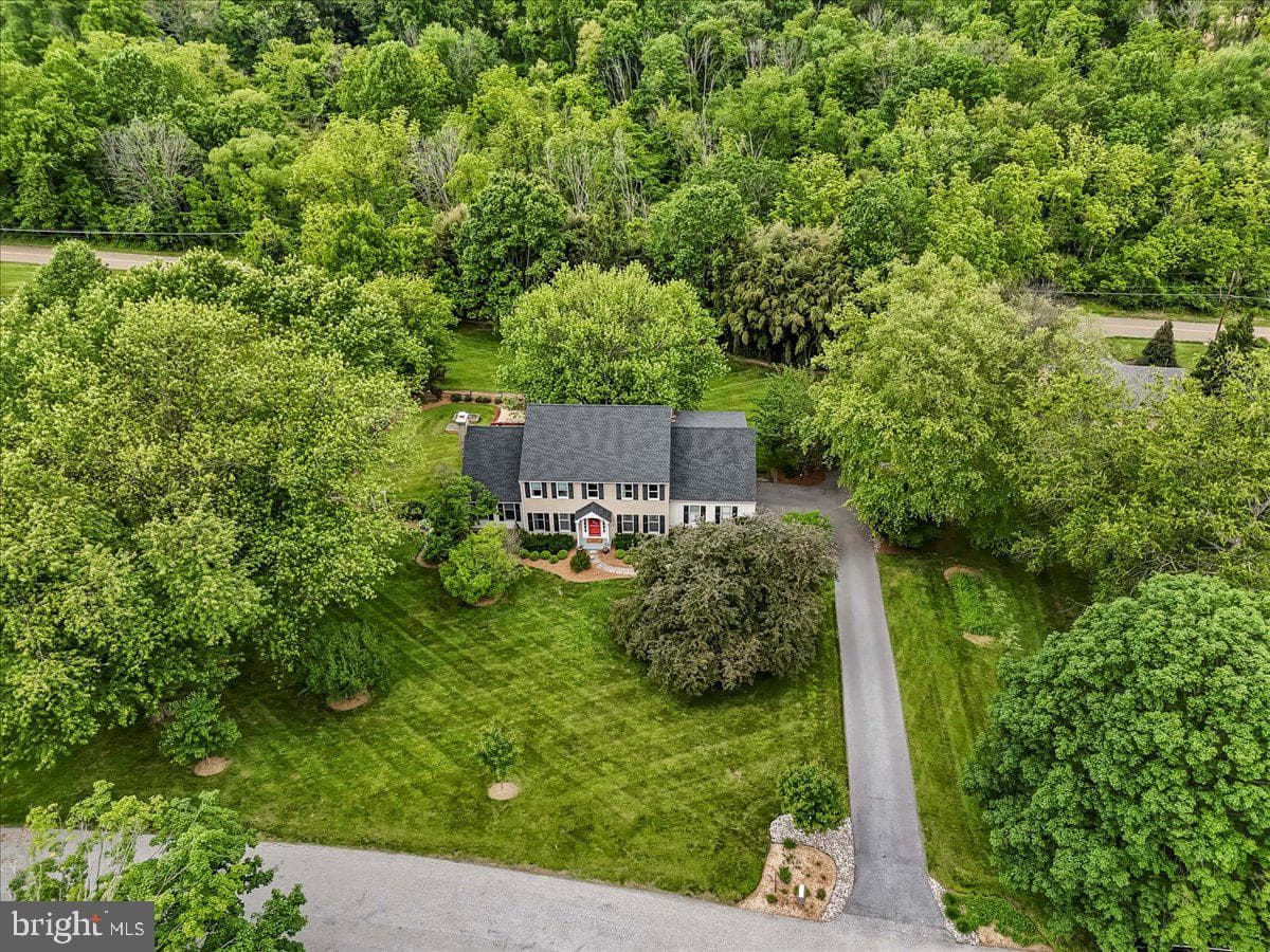 11 White Oak Drive photo 57