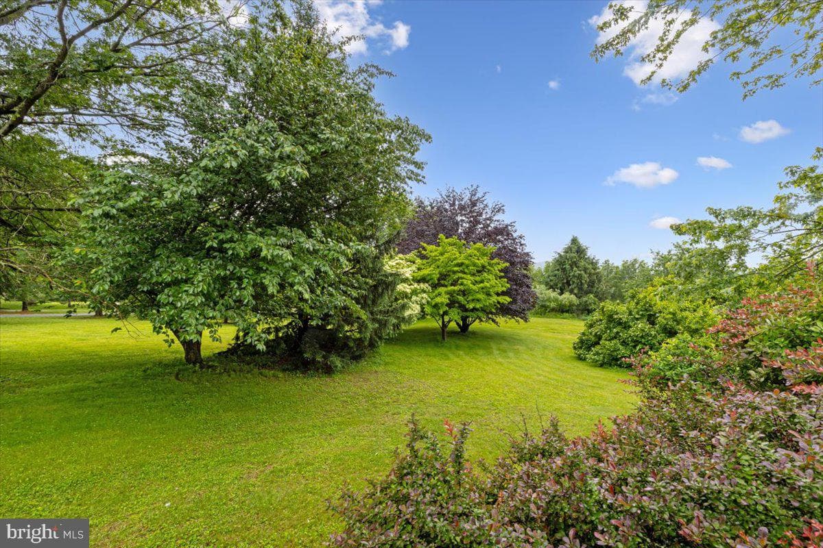 3 White Horse Lane photo 45