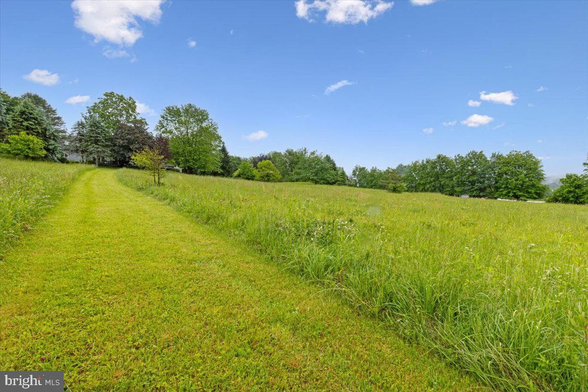 3 White Horse Lane photo 46