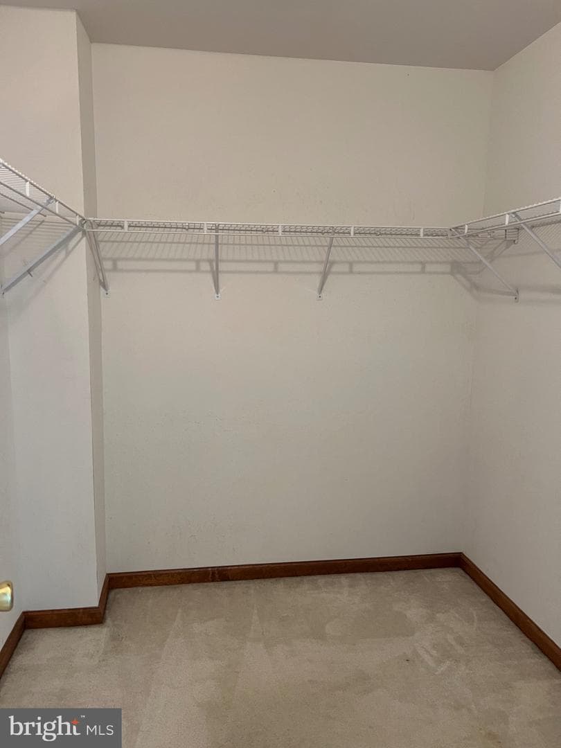 329 Galway Drive photo 19